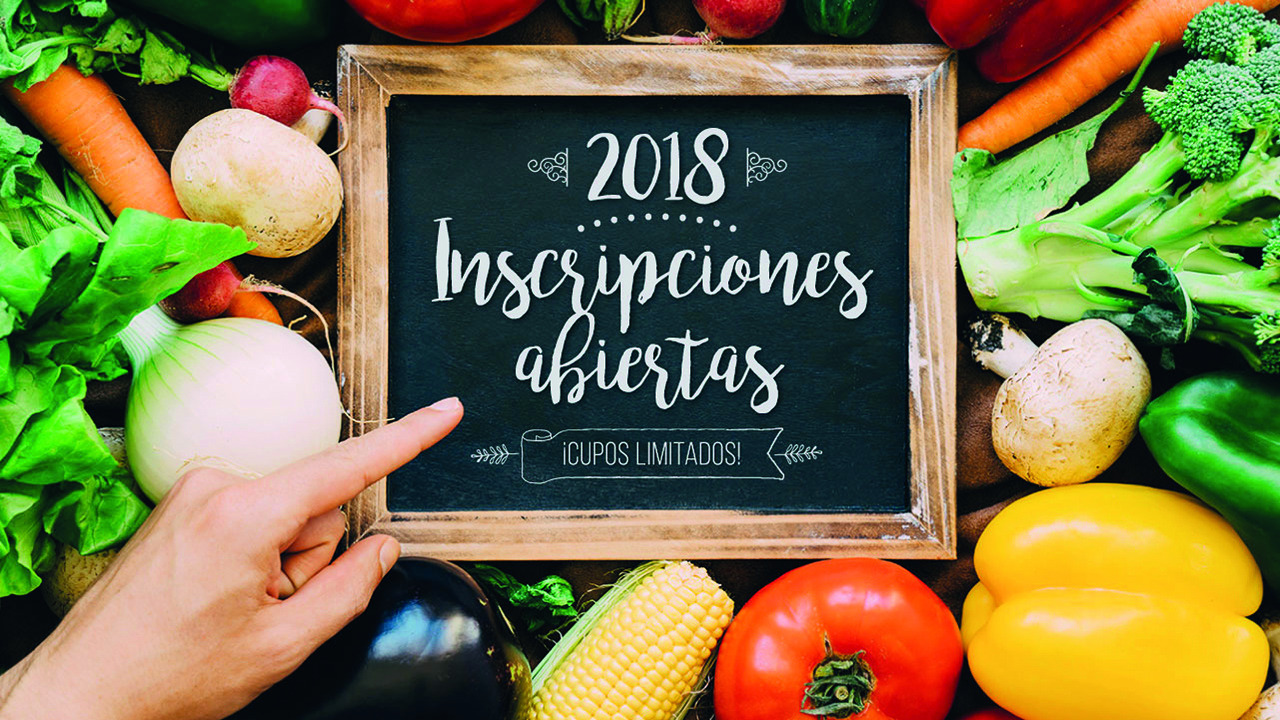 INSCRIPCIONES ABIERTAS: Propuestas para todos los gustos